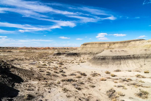 Malebný Pohled Pouštní Krajinu Arizoně Kalifornie Zamračeném Pozadí Oblohy — Stock fotografie
