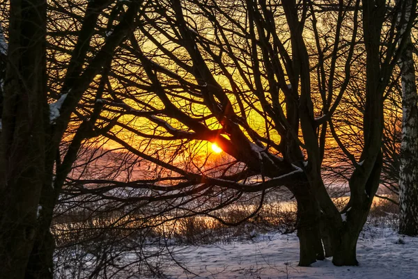 日出时美丽的冬季雪景 — 图库照片