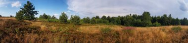 Parlak bir gökyüzünün altındaki tarımın panoramik görüntüsü.