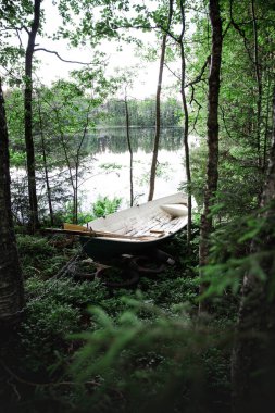 Ormandaki gölün kenarında eski bir ahşap teknenin dikey görüntüsü.