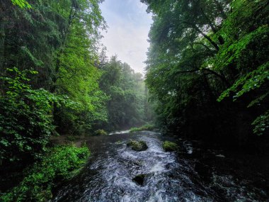Bulutlu gökyüzünün altında güzel bir manzara.