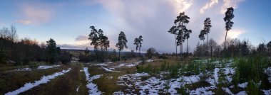 Bulutlu bir gökyüzünün altındaki doğal manzara manzarasına bir göz atın.