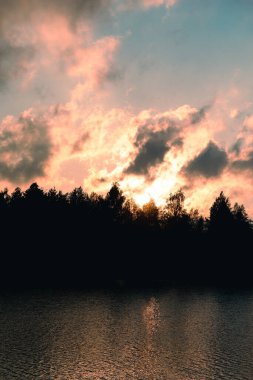 Gün batımına karşı ağaçların siluetleri olan güzel manzaranın dikey bir görüntüsü..