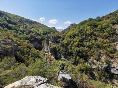 Dağdaki yemyeşil bir ormanın havadan görünüşü