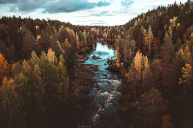 Bulutlu mavi bir gökyüzünün altında yeşil bir çam ormanından akan bir nehrin havadan görünüşü.