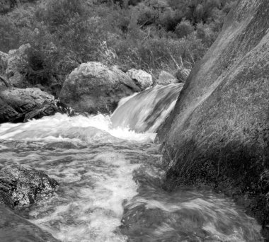 Avustralya 'daki Werribee Vadisi' ndeki bir nehrin gri tonlu görüntüsü.