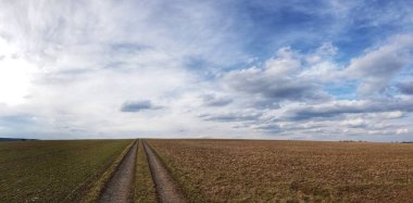 Ufukta bulutlu mavi bir gökyüzüne karşı uzanan geniş yeşil tarlaların panoramik görüntüsü.