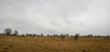 Bulutlu bir gökyüzünün altında güzel kahverengi bir tarla.