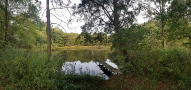 Bulutlu bir gökyüzünün altındaki doğal manzara manzarasına bir göz atın.