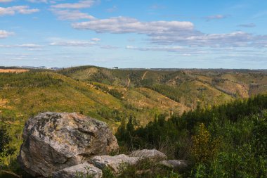 Güneşli bir günde dağların üzerinde güzel bir orman manzarası.