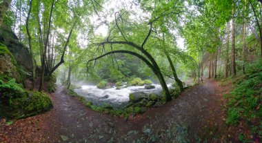 Akan gölün yanında, yosunlu kayalarla çevrili ağaçlarla çevrili bir patika manzarası.