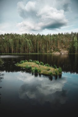 Bereketli bir ormanın ve bulutlu bir gökyüzünün yansıması olan bir gölün dikey görüntüsü.