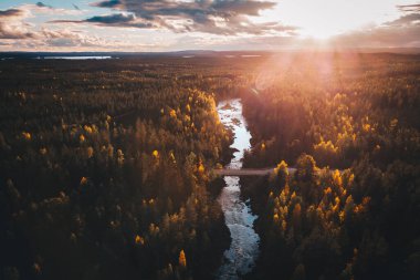 Gün batımında bulutlu mavi gökyüzünün altında yeşil bir çam ormanından akan bir nehrin hava görüntüsü.