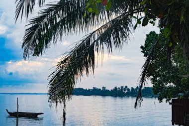 Batam, Endonezya 'daki adaların mor sularındaki palmiye ağaçları büyüleyici bir manzara.