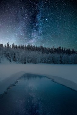 Yıldızlı gökyüzü ve karlı ağaçlarla büyülü bir kış gecesi