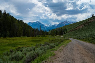 Bir yol manzarası ve açık gökyüzünün altında bir tarla