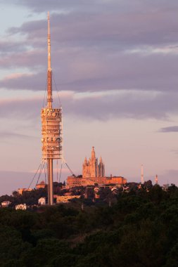 Televizyon kulesinin doğadaki dikey fotoğrafı.