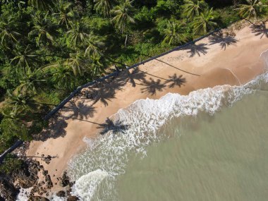 Güneşli bir günde, Tayland 'daki kumlu Laem Prathap plajının tropikal ağaçlarla çevrili hava manzarası.