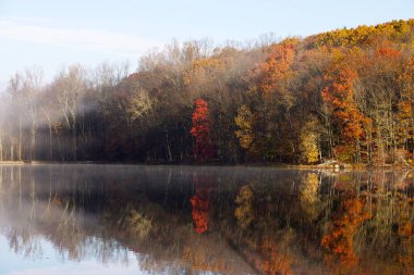 Gün boyunca ormandaki gölün güzel bir görüntüsü.