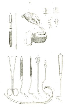 19. yüzyıl anatomisi ders kitabı. Siyah beyaz.