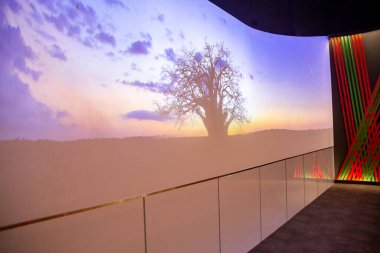 Dubai, BAE 'de 2020 Dünya Fuarı sırasında büyük bir baobab ağacı sergilenen bir ekran.