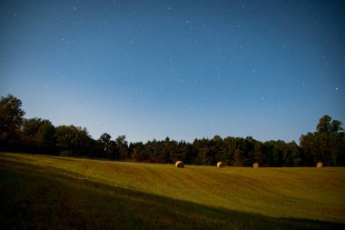 Ormana karşı sarı tarlada saman balyasının yakın plan fotoğrafı.
