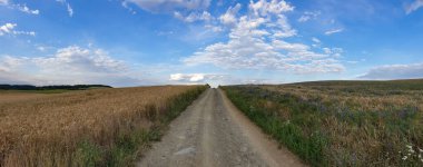 Tarım arazisinin ortasındaki toprak bir yolun panoramik görüntüsü..
