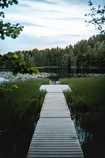 Colpo Verticale Una Passerella Nel Parco Nazionale Nuuksio Espoo Finlandia — Foto Stock