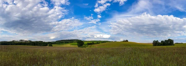 Een Antenne Panoramisch Shot Van Groen Veld Onder Blauwe Heldere — Stockfoto