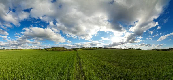 Una Vista Panorámica Vasto Campo Agrícola Bajo Cielo Nublado — Foto de Stock