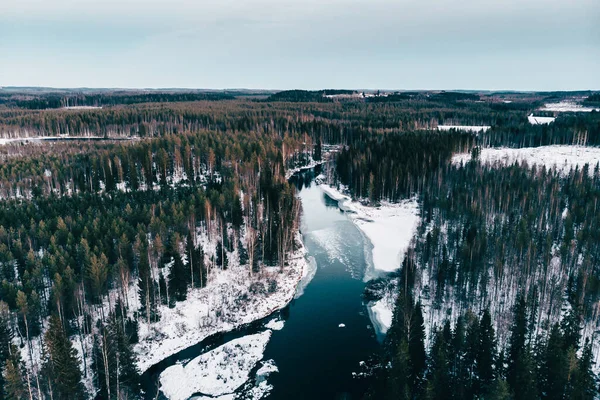 Een Prachtig Landschap Van Een Rivier Stromend Een Dicht Dennenbos — Stockfoto