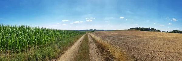 Panoramabild Stig Genom Ett Soligt Fält Klar Himmel — Stockfoto