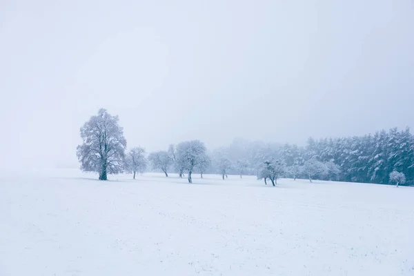 Kışın Karla Kaplı Güzel Bir Tarla Manzarası — Stok fotoğraf
