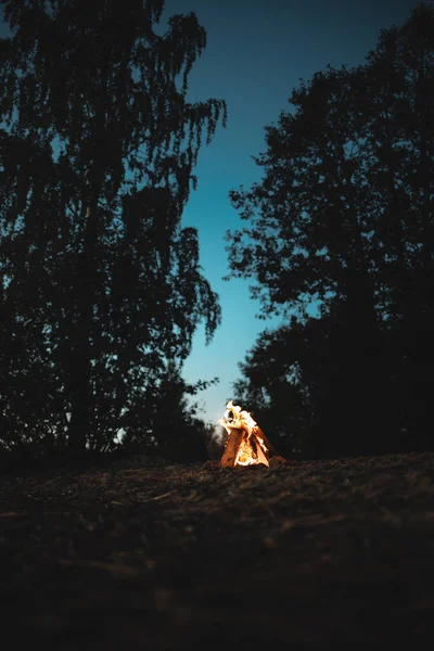 夕暮れ時に森の中で燃えるたき火の垂直ショット — ストック写真