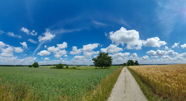 Пейзаж Дороги Между Зеленым Братским Полем Облачным Небом — стоковое фото