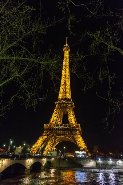 Függőleges Éjszakai Kilátás Ágak Előtérben Eiffel Torony Szajna Párizsban Franciaországban — Stock Fotó