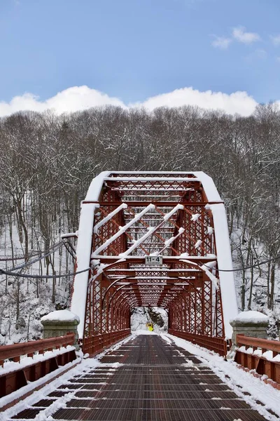 Una Hermosa Toma Puente Que Cruza Embalse Croton Durante Invierno —  Fotos de Stock