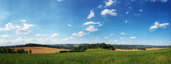 Lovitură Panoramică Unui Câmp Agricol Verde Sub Cer Tulbure — Fotografie, imagine de stoc