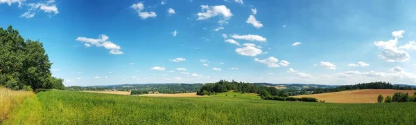 Plano Panorámico Campo Agrícola Verde Bajo Cielo Nublado —  Fotos de Stock