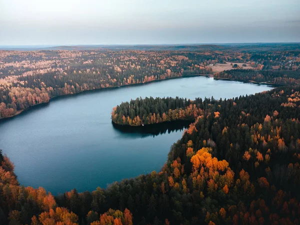 Luchtopname Van Klein Meer Omgeven Door Herfstbos — Stockfoto