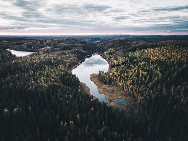 Vzdušný Pohled Jezero Obklopené Zeleným Borovým Lesem Pod Zamračenou Modrou — Stock fotografie