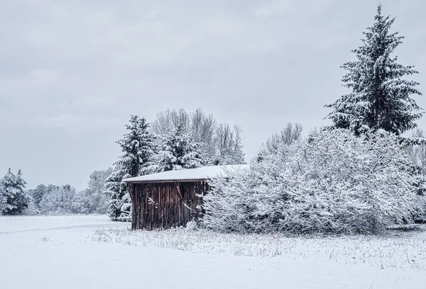 Красивый Снимок Деревянного Загородного Здания Окруженного Деревьями Полностью Покрытыми Снегом — стоковое фото