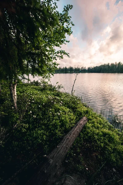 Colpo Verticale Del Bellissimo Paesaggio Estivo Con Lago Calmo Vegetazione — Foto Stock