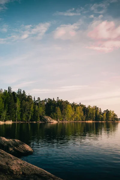 美丽的夏季风景的垂直镜头 湖面平静 岸边绿树成荫 — 图库照片