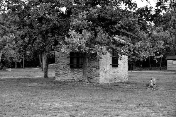 芝生の上の木の近くの石造りの家のグレースケール — ストック写真