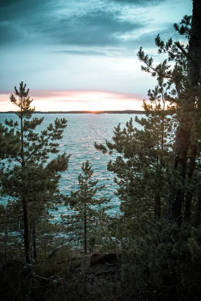 Eine Vertikale Aufnahme Von Bäumen Meer Bei Sonnenuntergang — Stockfoto