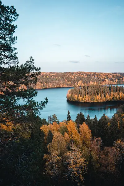 Een Verticaal Schot Van Een Kalm Meer Omringd Door Bomen — Stockfoto