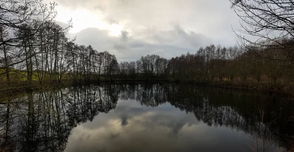 Schöne Aufnahme Eines Sees Mit Bäumen — Stockfoto