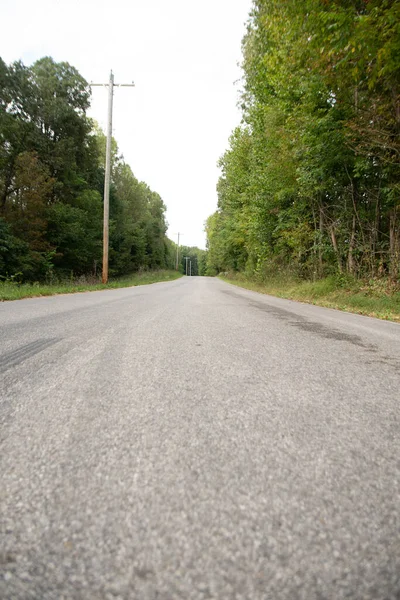 Ormanla çevrili bir yol fotoğrafı.