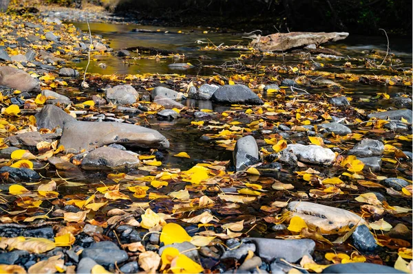 Uma Vista Pedras Folhas Outono Uma Água — Fotografia de Stock